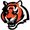 Photo of Bengals T.