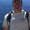 Photo of Rick P.