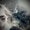 Photo of Shilo R.