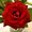 Photo of Qype User (Vergis…)