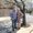 Photo of Eryan S.