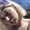 Photo of Linsey X.