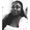 Photo of Aviana G.