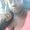 Photo of Shekira B.