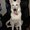 Photo of Tobby L.
