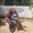 Photo of Angelica E.