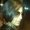 Photo of Daphne B.
