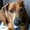 Photo of Mia B.