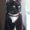 Photo of Sheeba A.