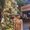 Photo of Duyen L.