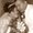 Photo of Jose Alejandro B.