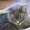 Photo of Qype User (Mistou…)