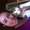 Photo of Marissa K.