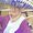 Photo of Anne M.