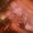 Photo of Ericka J.