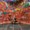 Photo of JP L.