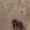 Photo of Briella N.
