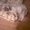 Photo of Lidia P.