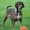 Photo of Henry J.