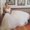 Photo of Brenna E.