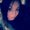 Photo of Maria R.