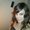 Photo of Kristy K.