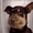 Photo of Vonnie D.