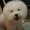 Photo of Angeli S.