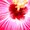 Photo of Qype User (eraser…)