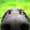 Photo of Qype User (matsch…)