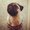 Photo of Stephanie R.