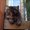 Photo of Wowzer S.