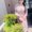 Photo of Mayra A.