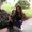 Photo of Alisha G.