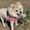 Photo of Sharla S.