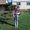 Photo of Marissa H.