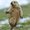 Photo of Jason D.