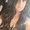 Photo of Briana M.
