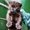 Photo of Lainie M.