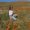 Photo of Abriana S.