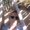 Photo of Debi C.