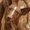 Photo of Trueno A.