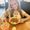 Photo of Krista K.