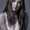 Photo of Dawn M.