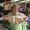 Photo of Karin F.
