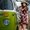 Photo of Caitlyn E.