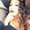 Photo of Alexxandria Z.
