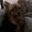 Photo of Jayci S.