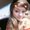 Photo of Lily D.