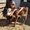 Photo of Lianne H.